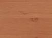 jelša