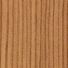Mountain Pine